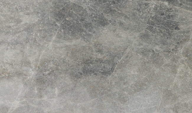 Ventura Grey M2147 Detail (surface Spectrum)
