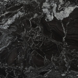 Black Forest Detail (surface Spectrum)