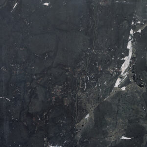 Negresco 44958 Detail (surface Spectrum)