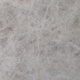 Tundra Beige 24017 Detail (surface Spectrum)
