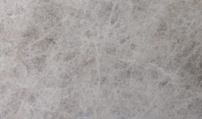 Tundra Beige 24017 Detail (surface Spectrum)