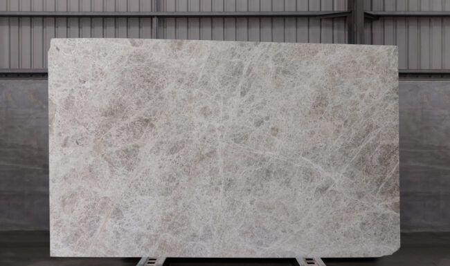 Tundra Beige 24017 Slab (surface Spectrum)
