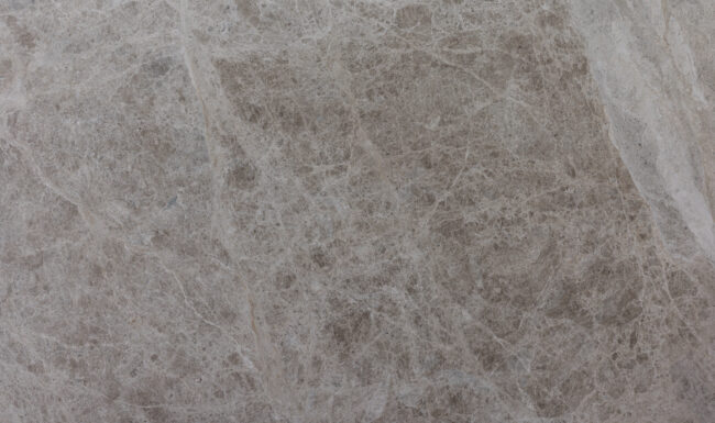 Tundra Beige 2796 Detail (surface Spectrum)