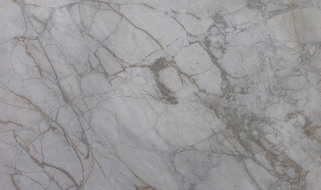 Calacatta Matarazzo 47189 Detail (surface Spectrum)