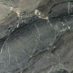 Silver Platino B057474 Detail (surface Spectrum)