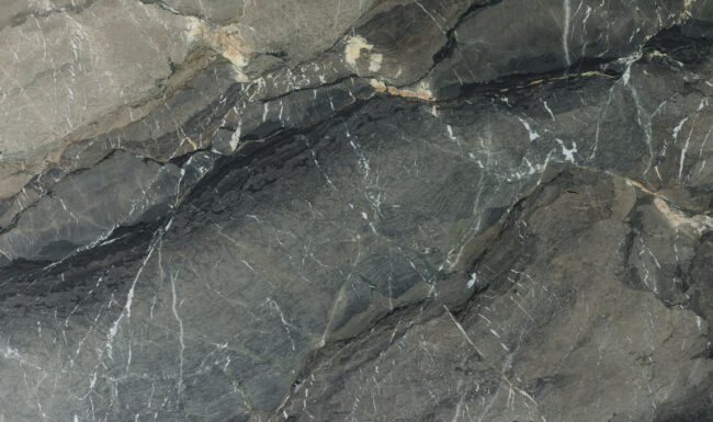 Silver Platino B057474 Detail (surface Spectrum)
