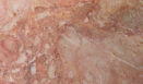 Breccia Pernice 2