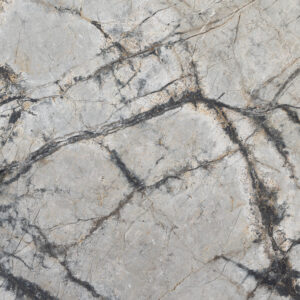 Silver Root K5334 Detail (surface Spectrum)
