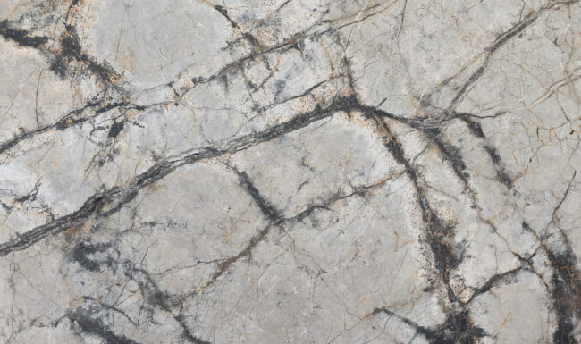 Silver Root K5334 Detail (surface Spectrum)
