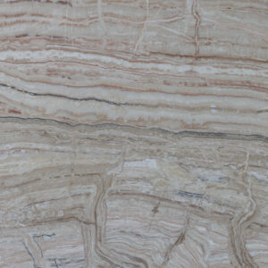 Jurassic Traonyx Km23539 Detail (surface Spectrum)