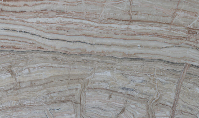 Jurassic Traonyx Km23539 Detail (surface Spectrum)