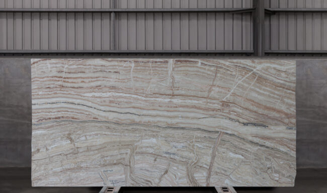Jurassic Traonyx Km23539 Slab (surface Spectrum)