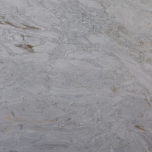 Calacatta Columbus 207543 Detail (surface Spectrum)