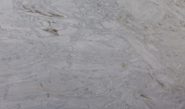 Calacatta Columbus 207543 Detail (surface Spectrum)