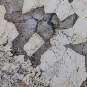 Patagonia Classic 48629 Detail (surface Spectrum)