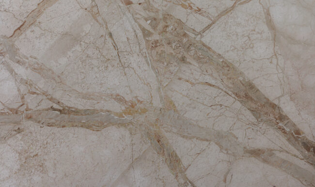 Breccia Aurelia B059947 Detail (surface Spectrum)