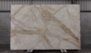 Breccia Aurelia B059947 Slab (surface Spectrum)