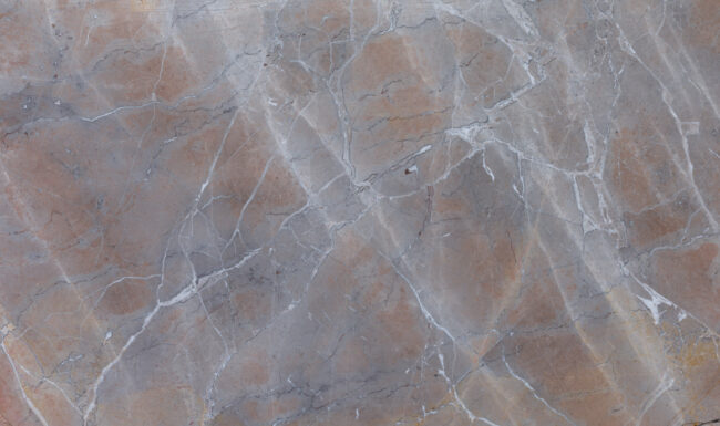 Noisette B056556 Detail (surface Spectrum)