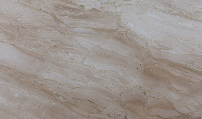 Breccia Sarda 20813 Detail (surface Spectrum)