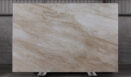 Breccia Sarda 20813 Slab (surface Spectrum)