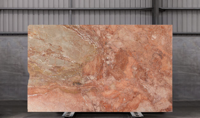 Breccia Pernice Classico Tm15023 Slab (surface Spectrum)